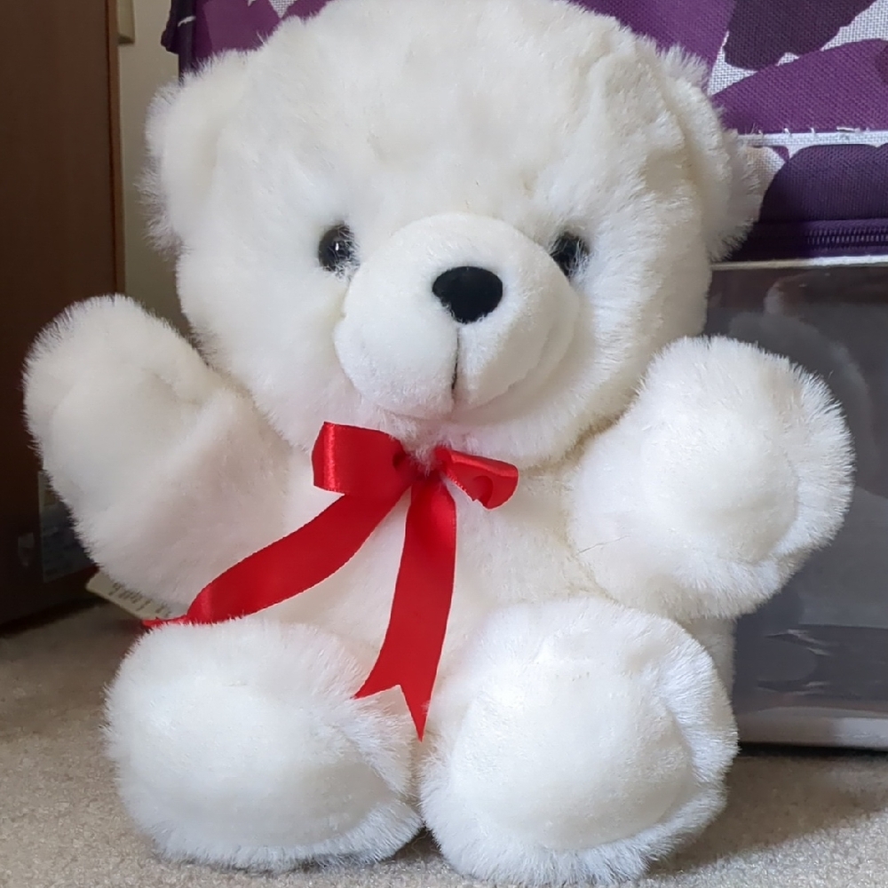 White Teddy Bear with Red Bow